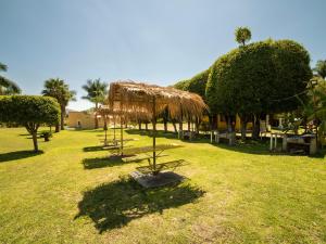 een rij banken in een grasveld bij Villas El Paraiso in Tlaquiltenango