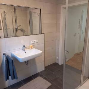 een badkamer met een wastafel en een douche bij Ferienwohnung Ahornweg in Ihrlerstein