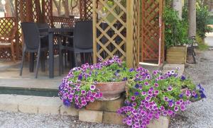 A garden outside Camping Eden