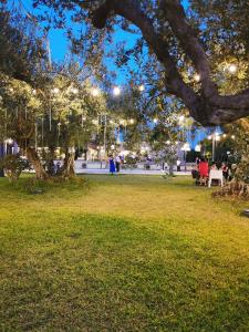 a park with people sitting under a tree at night at Azienda Agrituristica Baglio Carta in Balestrate