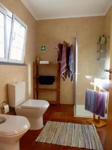 a bathroom with a toilet and a shower and a sink at Azorean Cottage São Jorge in Urzelina