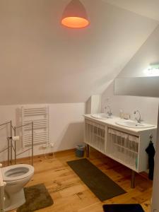 的住宿－Les Gîtes du Manoir de Keryvon，一间带水槽和卫生间的浴室