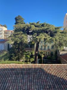 a tree sitting on top of a brick walk way at STANDING - NEUF - Croisette- Palais des festivals - 6 pers -3 chbres in Cannes