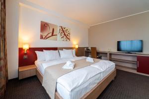 a hotel room with a large bed and a flat screen tv at Hotel Ali Baba in Humenné