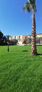 a palm tree in a field of green grass at Azienda Agrituristica Baglio Carta in Balestrate