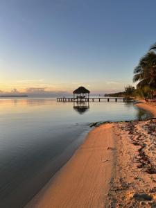 a beach with a pier and palm trees and the ocean at Bella Sway Belize in Placencia