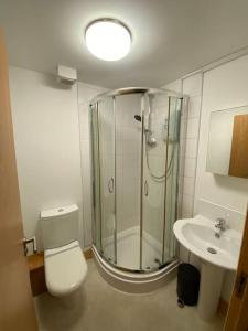 y baño con ducha, aseo y lavamanos. en Spacious 1 bedroom apartment in Norwich city centre en Norwich