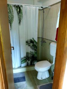 a bathroom with a toilet and a shower curtain at Risan center apartment in Risan +34 photos