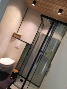 uma casa de banho com um WC e uma parede de vidro em Vakantiestudio De Zeeparel De Panne met Zwembad em De Panne