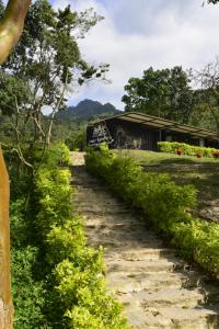 Příroda nedaleko luxury tent