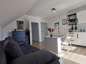 ein Wohnzimmer mit einem blauen Sofa und einer Küche in der Unterkunft Sworny-Apartments in Swornegacie