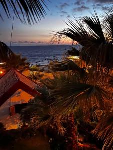 una vista di una spiaggia con palme e l'oceano di Waves Song - Cottage a Porto Moniz