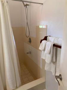ein Bad mit einer Dusche und weißen Handtüchern in der Unterkunft The View Villa in Port Elizabeth
