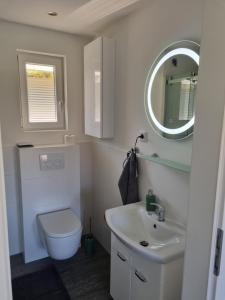 ein Badezimmer mit einem WC, einem Waschbecken und einem Spiegel in der Unterkunft Ferienhaus Diemelaue in Bad Karlshafen