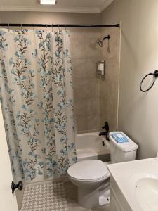 a bathroom with a toilet and a shower curtain at Spacious 3 bedroom home near Amphitheater/Baseball/shopping and much more in Pearl