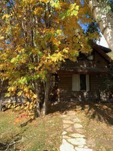 a house with a tree in front of it at Bungalow Pai-Pay 2 in San Carlos de Bariloche