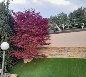 Zahrada ubytování Villa Benaco