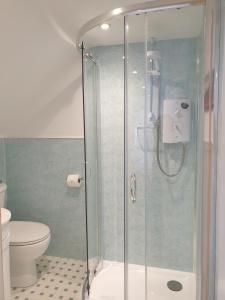 a bathroom with a shower and a toilet at Carnaburg Guesthouse in Tobermory