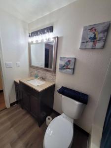 a bathroom with a toilet and a sink and a mirror at Newly Remodeled Relaxing Stay near Downtown in Fairbanks