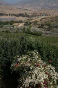 Une bande de fleurs dans un champ avec des montagnes en arrière-plan dans l'établissement Les terrasses du Lac Marrakech, à Lalla Takerkoust