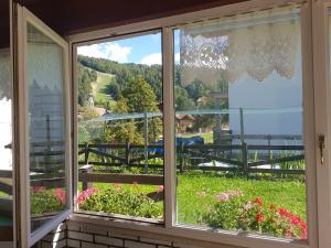 Κήπος έξω από το Chalet Heidi +30 φωτογραφίες