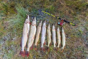 Gallery image of OMEO Clearlake oaks in Clearlake Oaks