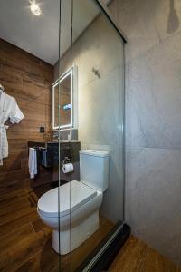 uma casa de banho com um WC e uma cabina de duche em vidro. em Hotel Britanico Express em Gramado