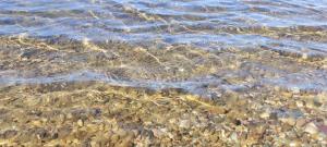 Paesaggio naturale nelle vicinanze dell'appartamento