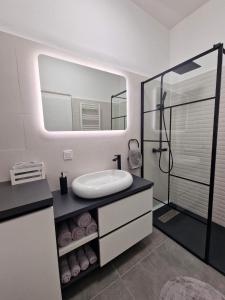 uma casa de banho com um lavatório e um chuveiro com um espelho. em Cozy Corner em Brasov