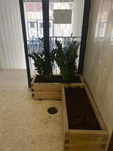 una habitación con dos cajas de madera con plantas. en Modern studio apartment B, en Atenas