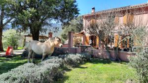 a horse standing in a yard next to a house at UNE PAUSE EN FORET A LA FERME in Bormes-les-Mimosas