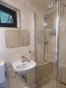 ein Bad mit einem Waschbecken und einer Dusche in der Unterkunft Casa Dorin in Orşova