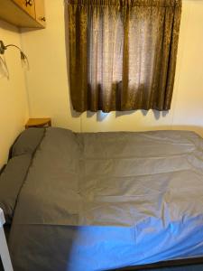 1 cama en un dormitorio con ventana en Bazanmoes Shed No: 49, en Aberystwyth