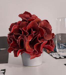 Split'teki Apartment Adora Split tesisine ait fotoğraf galerisinden bir görsel