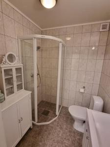 uma casa de banho com um chuveiro, um WC e um lavatório. em Sjøhus ved Tjeldsundet - House by the sea em Evenskjer
