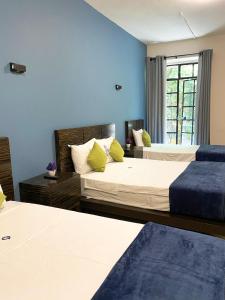 2 camas en una habitación con paredes azules en Hotel Amigo Suites, en Ciudad de México