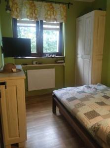 een slaapkamer met groene muren, een bed en een raam bij Klimatyczny apartament nad jeziorem in Łagów
