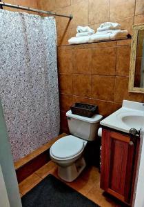 a bathroom with a toilet and a sink and a shower at Comfort Cottage at the Grove in Mandeville