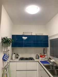 a kitchen with blue cabinets and a stove top oven at leupupe relax cultura mare monti in Cascina