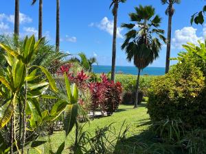 a garden with palm trees and the ocean in the background at Indigo Palmes in Sainte-Rose