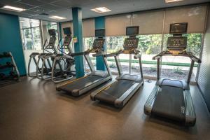 eine Reihe von Laufbändern in einem Fitnessstudio in der Unterkunft Fairfield Inn & Suites by Marriott Wisconsin Dells in Wisconsin Dells
