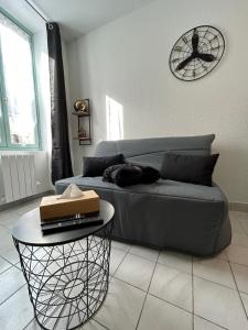 a cat sleeping on a couch in a living room at Au 15 - Charmant Studio hyper centre in Saint-Amand-Montrond