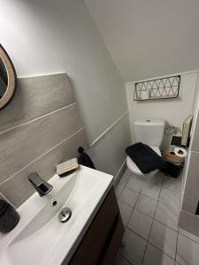 łazienka z białą umywalką i toaletą w obiekcie Au 15 - Charmant Studio hyper centre w mieście Saint-Amand-Montrond