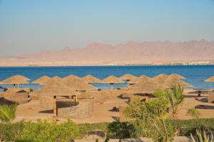 a beach with many straw umbrellas and the ocean at Sheraton Soma Bay Resort in Hurghada