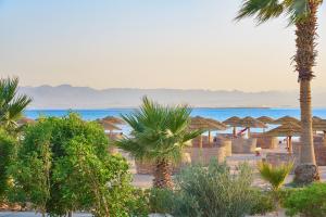a beach with palm trees and umbrellas and the ocean at Sheraton Soma Bay Resort in Hurghada