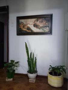 Fotografie z fotogalerie ubytování Hotel Slow Montecarlo v destinaci Manizales + 21 fotografií
