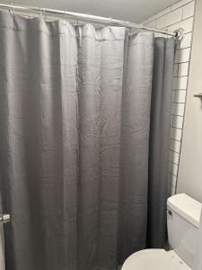 a bathroom with a shower curtain and a toilet at 2 BR Loft 10 min from downtown in Nashville