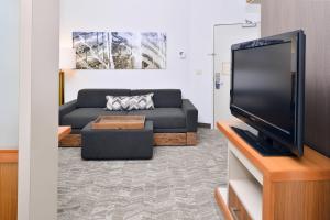 ein Wohnzimmer mit einem Sofa und einem Flachbild-TV in der Unterkunft SpringHill Suites Ashburn Dulles North in Ashburn