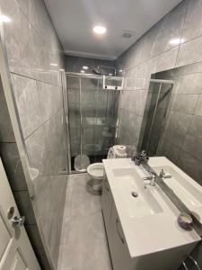 a bathroom with a sink and a shower and a toilet at Casa Rocha in Pinhão