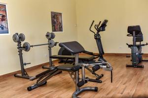 Fitness centrum a/nebo fitness zařízení v ubytování DURAZNO INN
